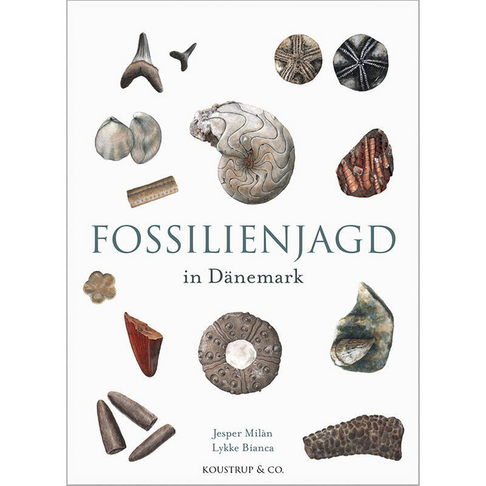 Buch - Fossilienjagd