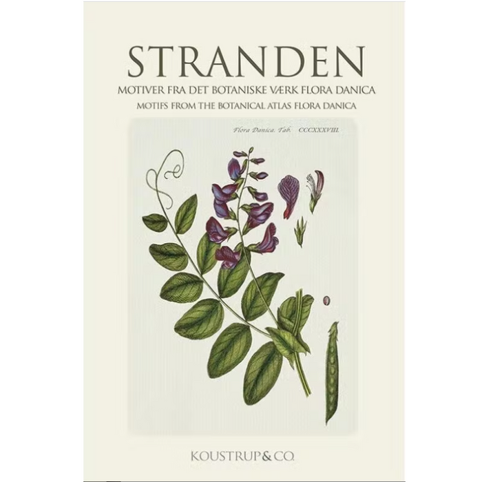 Der Strand - Kartenset