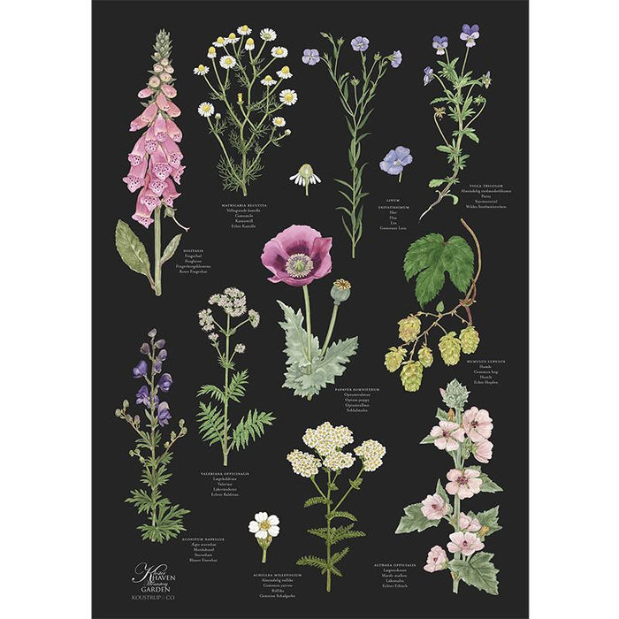 Klostergarten - Poster