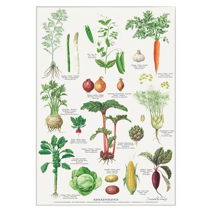 Küchengarten - Poster