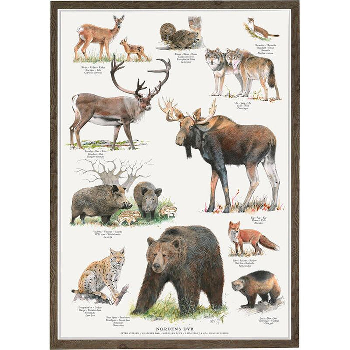 Nordische Tiere - Poster