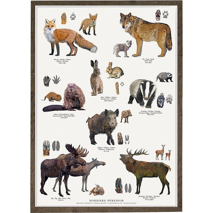 Nordische Tierspuren - Poster