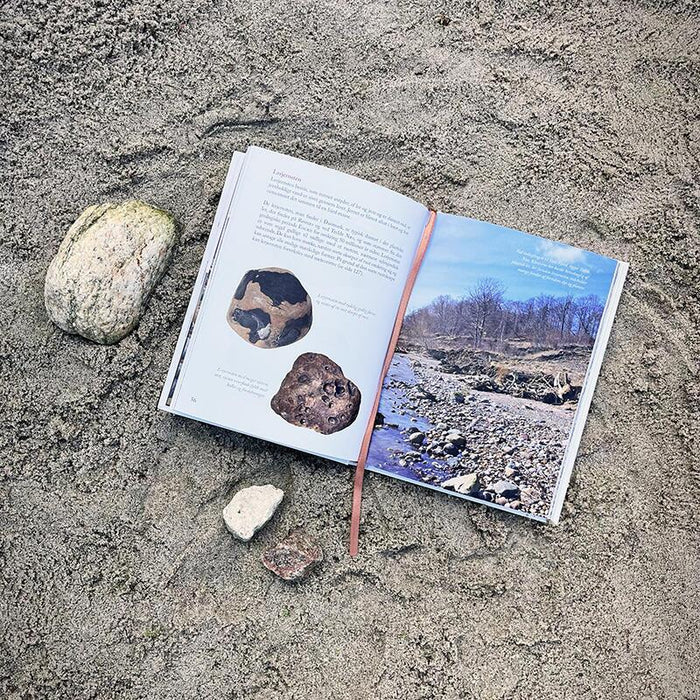 Buch - Steine am Strand