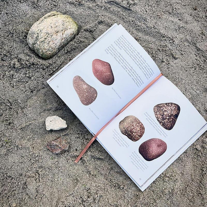 Buch - Steine am Strand