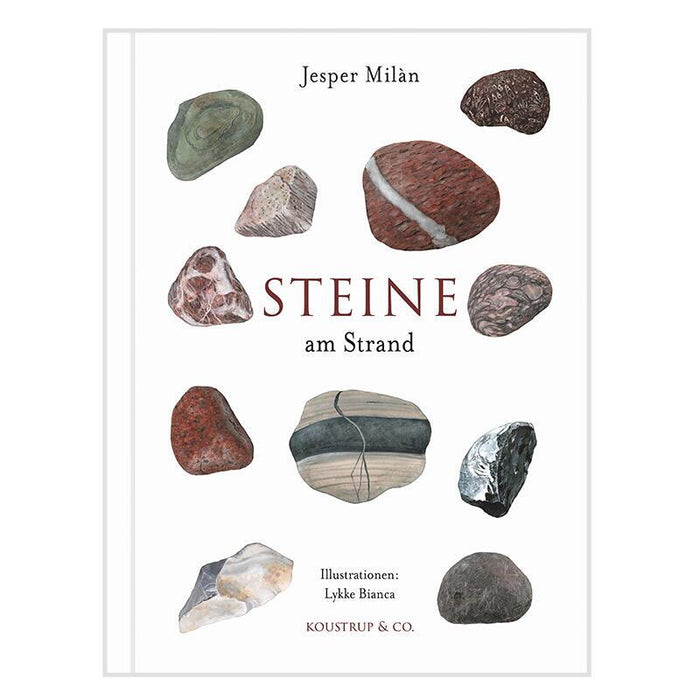 Buch - Steine am Strand