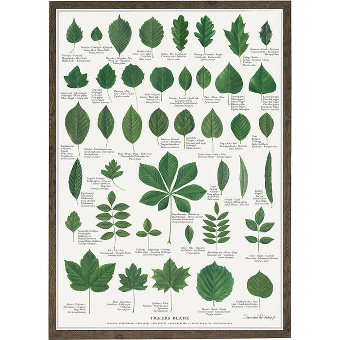 Blätter der Bäume - Poster