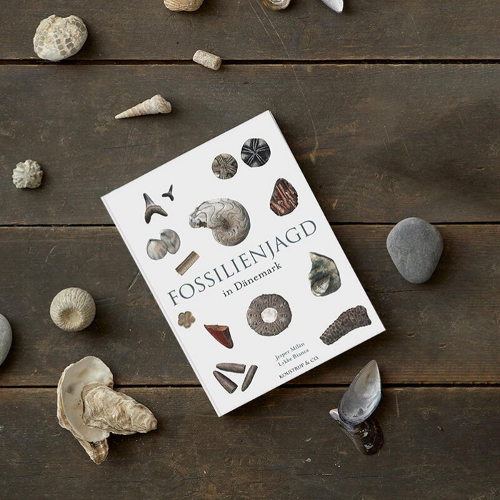 Buch - Fossilienjagt