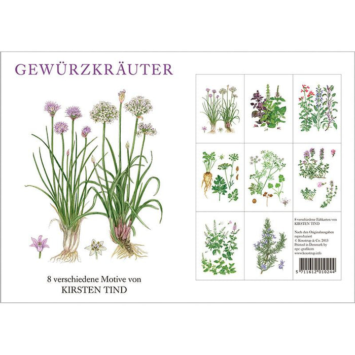 Gewürzkräuter - Kartenset